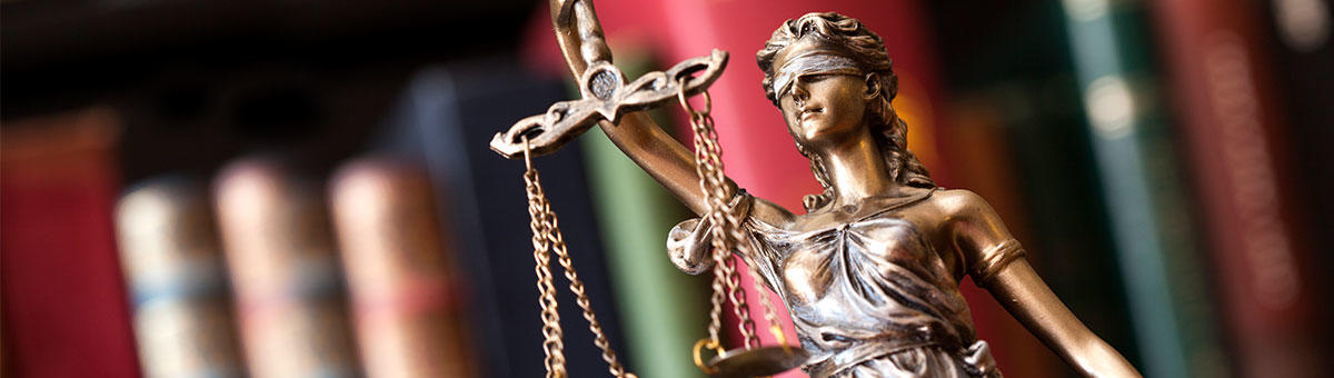 Lowther Johnson Attorneys at Law, LLC